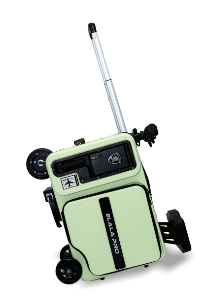 ESSENTIAL - AVOCADO GREEN